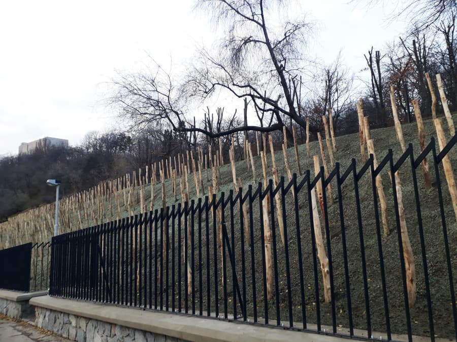 Vinice na Vítkově II